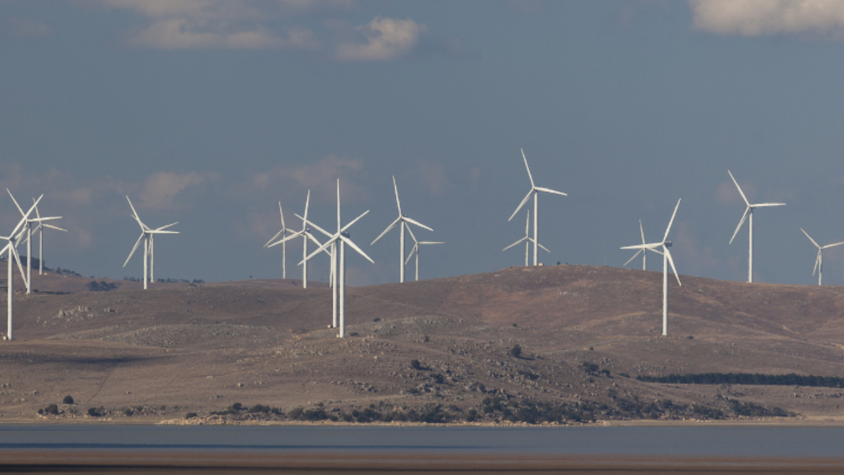 Energy Renewable Partner Purchase