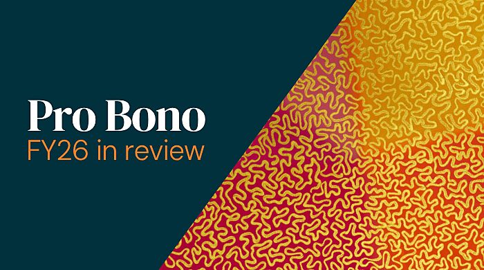 WEBSITE THUMBNAIL Pro Bono Sep 26