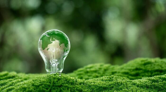 IMAGE e Alert ACCC v Australian Gas Networks
